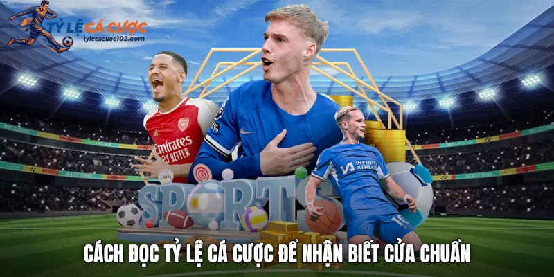  Cách đọc tỷ lệ cá cược để nhận biết cửa chuẩn