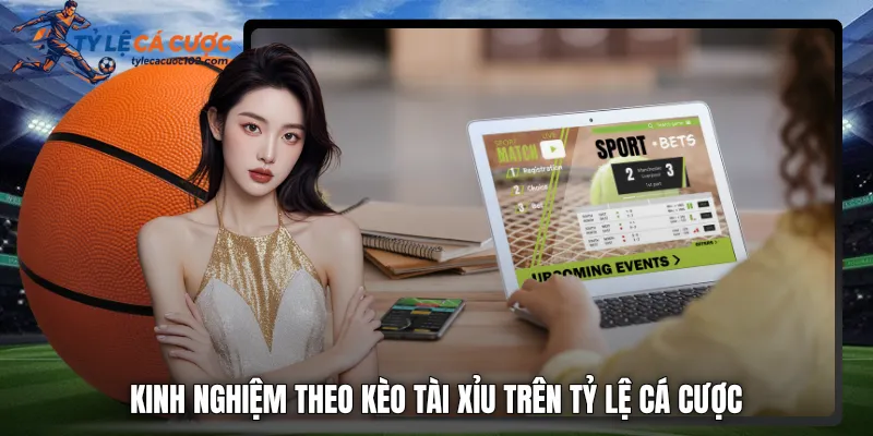 Kinh nghiệm theo kèo tài xỉu trên tỷ lệ cá cược