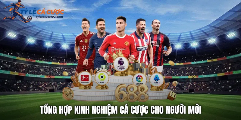 Tổng hợp kinh nghiệm cá cược cho người mới