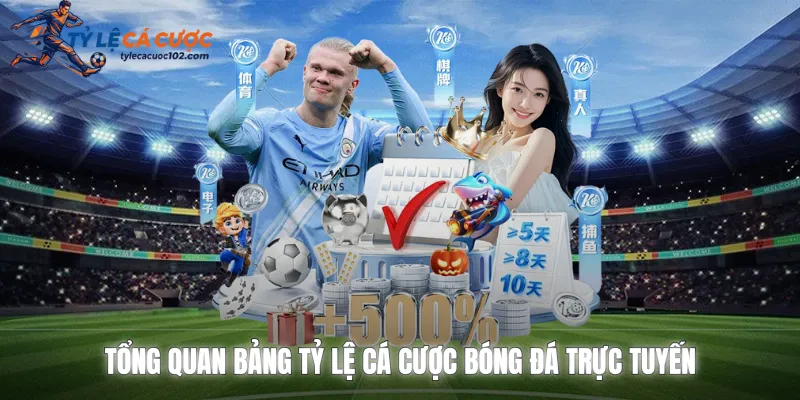 Tổng quan bảng tỷ lệ cá cược bóng đá trực tuyến