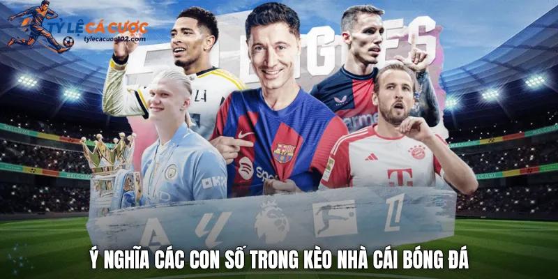 Ý nghĩa các con số trong kèo nhà cái bóng đá